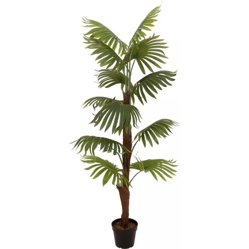 EUROPALMS planta artificial de palmera de abanico, 155cm 82509303
