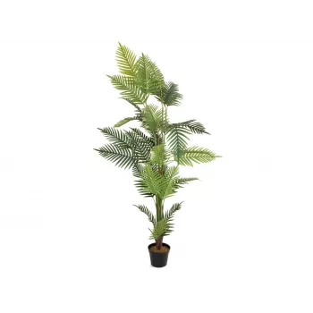 EUROPALMS planta artificial de palmera areca 180cm 82509415