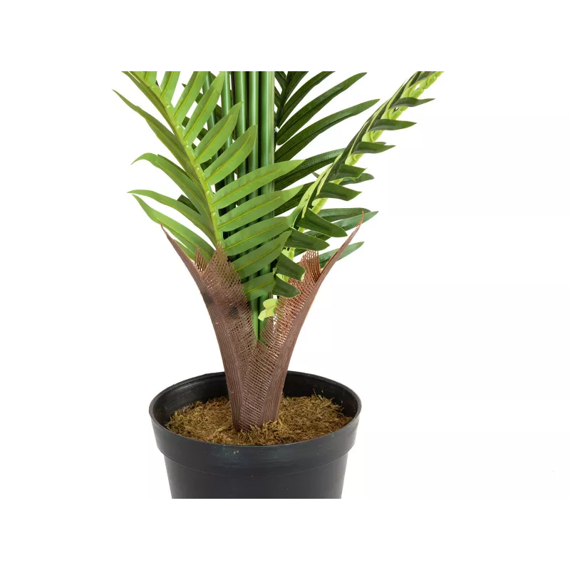 EUROPALMS planta artificial de palmera areca 180cm 82509415