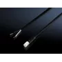 Rittal Cable de conexión para interruptor de posición de puerta, Negro, 2,5 m 2500660