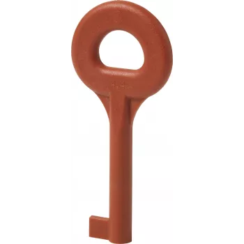 Siemens Llave de repuesto DMZ1195 para interruptores de seguridad 3SE5 (BPZ:4851910001)
