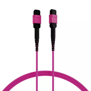 EFB Cable de parcheo matriz MTP-F/MTP-F 36 fibras OM4, LSZH violeta Erika, Type-A, 25m MTPF36MTPFOM4-25-A