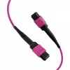EFB Cable de parcheo matriz MTP-F/MTP-F 36 fibras OM4, LSZH violeta Erika, Type-A, 25m MTPF36MTPFOM4-25-A