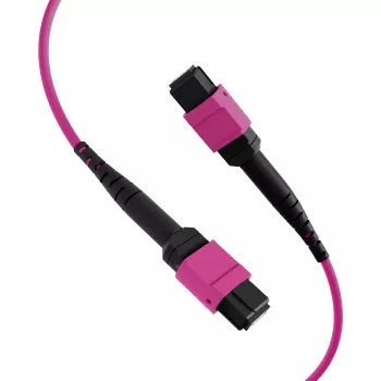 EFB Cable de parcheo matriz MTP-F/MTP-F 36 fibras OM4, LSZH violeta Erika, Type-A, 25m MTPF36MTPFOM4-25-A