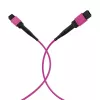 EFB Cable de parcheo matriz MTP-F/MTP-F 36 fibras OM4, LSZH violeta Erika, Type-A, 30m MTPF36MTPFOM4-30-A