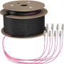 EFB Elektronik Cable troncal U-DQ ZN BH OM4 8G 1x8 LC-LC 70m Dca LSZH - 70 m (O8322S70OM4)