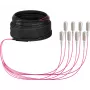 EFB Elektronik Cable troncal U-DQ ZN BH OM4 8G 1x8 SC-SC 30m Dca LSZH O8321S30OM4