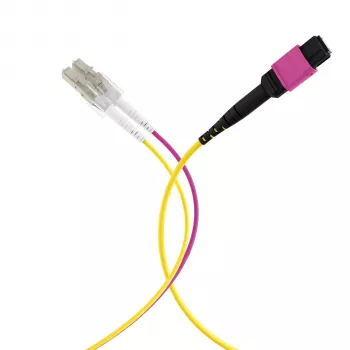 MPO-PLUS (F) a LC Cable troncal OM4 12 fibras Tipo B LSZH Erika Violeta 2m MPOF12LCOM4-2