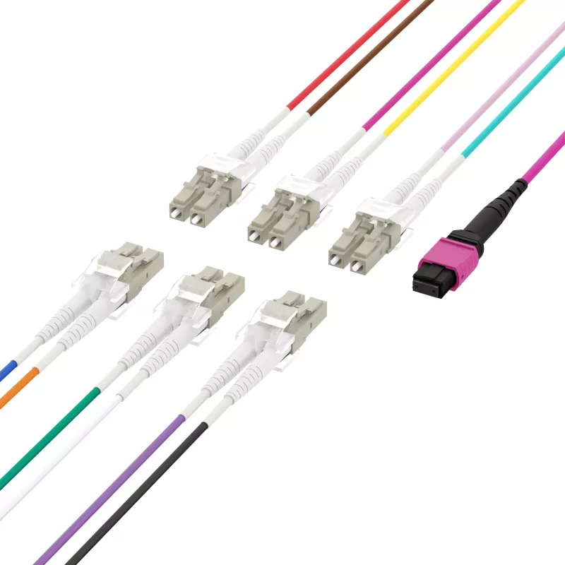 MPO-PLUS (F) a LC Cable troncal OM4 12 fibras Tipo B LSZH Erika Violeta 2m MPOF12LCOM4-2