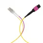 EFB Elektronik Cable troncal MPO-PLUS (F) a LC dúplex, OM4, 12 fibras, Tipo B, LSZH, Erika Violeta, 3 m MPOF12LCOM4-3
