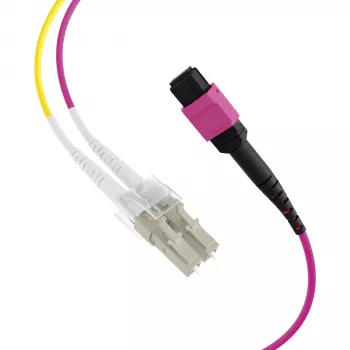 EFB Elektronik Cable troncal MPO-PLUS (F) a LC dúplex, OM4, 12 fibras, Tipo B, LSZH, Erika Violeta, 3 m MPOF12LCOM4-3