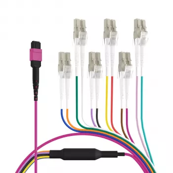 EFB Elektronik MPO-PLUS (F) a LC cable troncal, OM4, 12 fibras, Type-B, LSZH, violeta erika, 1m MPOF12LCOM4-1
