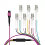EFB Elektronik MPO-PLUS (F) a LC cable troncal, OM4, 12 fibras, Type-B, LSZH, violeta erika, 1m MPOF12LCOM4-1