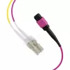 EFB Elektronik MPO-PLUS (F) a LC cable troncal, OM4, 12 fibras, Type-B, LSZH, violeta erika, 1m MPOF12LCOM4-1