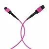 EFB Elektronik cable de parcheo MPO-PLUS(F)-MPO-PLUS(F) OM4 8 fibras tipo B LSZH Erika violeta 1 m MPOF8MPOFOM4-1