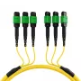 EFB MTPF48MTPFOS2-25-A cable de parcheo monomodo OS2 de 48 fibras MTP APC, 25 m, amarillo