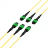 EFB MTPF48MTPFOS2-25-A cable de parcheo monomodo OS2 de 48 fibras MTP APC, 25 m, amarillo