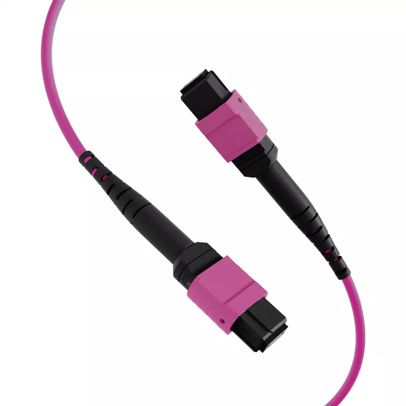 EFB Elektronik cable de parcheo matriz MTP-F/MTP-F de 48 fibras OM4, LSZH Erika violeta, código A, 25 m MTPF48MTPFOM4-25-A