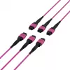 EFB Elektronik cable de parcheo matriz MTP-F/MTP-F de 48 fibras OM4, LSZH Erika violeta, código A, 25 m MTPF48MTPFOM4-25-A