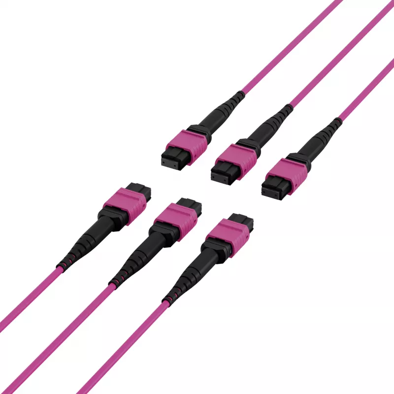 EFB Elektronik cable de parcheo matriz MTP-F/MTP-F de 48 fibras OM4, LSZH Erika violeta, código A, 25 m MTPF48MTPFOM4-25-A