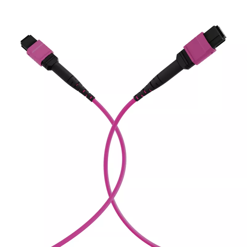 EFB Elektronik cable de parcheo matriz MTP-F/MTP-F de 48 fibras OM4, LSZH Erika violeta, código A, 25 m MTPF48MTPFOM4-25-A