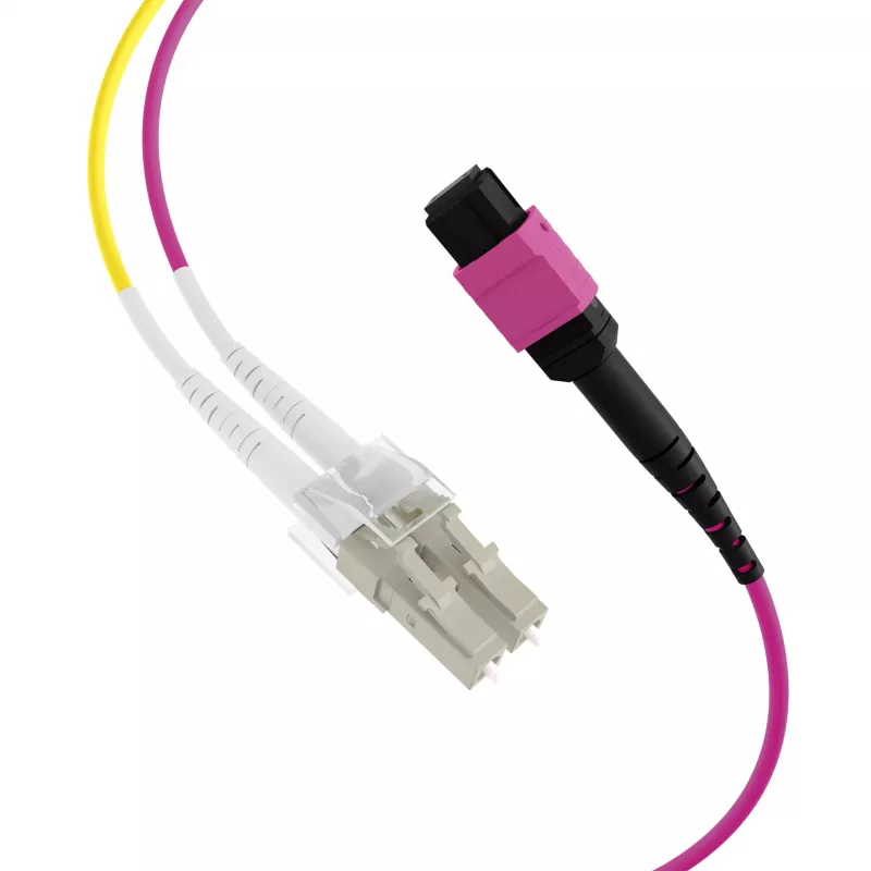 Cable troncal MPO-PLUS (F) a LC OM4 8 fibras tipo B LSZH violeta erika 1m MPOF08LCOM4-1