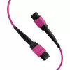 Cable de parcheo EFB Elektronik MPO-PLUS(F)-MPO-PLUS(F) OM4 8 fibras Type-B LSZH violeta erika 5 m MPOF8MPOFOM4-5
