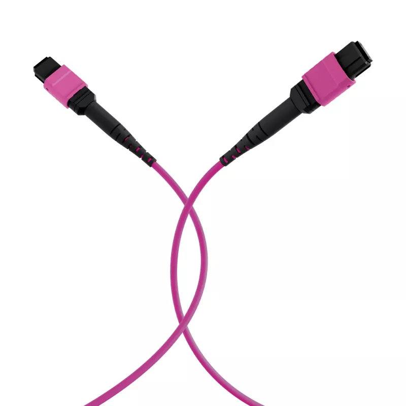 Cable de parcheo EFB Elektronik MPO-PLUS(F)-MPO-PLUS(F) OM4 8 fibras Type-B LSZH violeta erika 5 m MPOF8MPOFOM4-5