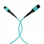 Cable de parcheo EFB Elektronik MPO-PLUS hembra a MPO-PLUS hembra, OM3 multimodo, 12 fibras, Type-B, LSZH aqua, 5 m MPOF12MPOFOM3-5
