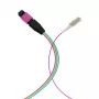 Cable fanout EFB Elektronik MPO-PLUS (M)-LC OM4 12 fibras Type-B LSZH violeta erika 1 m MPOM12LCOM4-1