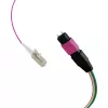 Cable fanout EFB Elektronik MPO-PLUS (M)-LC OM4 12 fibras Type-B LSZH violeta erika 1 m MPOM12LCOM4-1