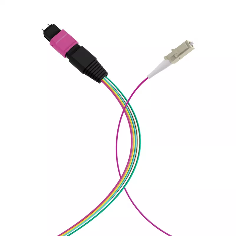 Cable fanout EFB Elektronik MPO-PLUS (M)-LC OM4 12 fibras Type-B LSZH violeta erika 1 m MPOM12LCOM4-1