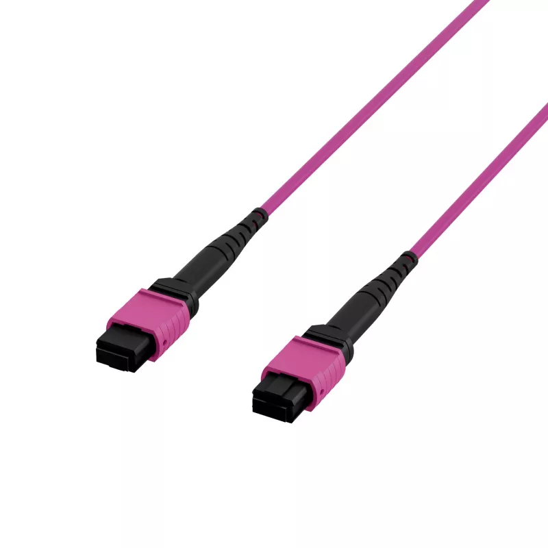 EFB Elektronik MPO-PLUS (F) a MPO-PLUS (F) OM4 Multimodo Cable de conexión LWL, 8 fibras, tipo B, LSZH, Violeta Erika, 2m MPOF8MPOFOM4-2