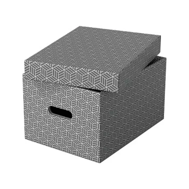 Esselte Home Caja de almacenaje M, 17,5 L, 26,5 x 36,5 x 20,5 cm, pack de 3, blanco/gris (628283)