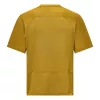 Salewa Pedroc Dry Hybrid camiseta hombre de secado rápido - Olive Oil, talla L