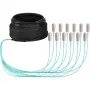 EFB Elektronik Cable troncal U-DQ ZN BH OM3 12G 1x12 SC-SC 30 m Dca LSZH O8341S30OM3