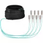 EFB Elektronik Cable troncal U-DQ ZN BH OM3 8G 1x8 SC-SC 30 m Dca LSZH - 30 m O8321S30OM3
