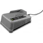 Cargador rápido Kärcher Professional Battery Power+ 2.445-045.0