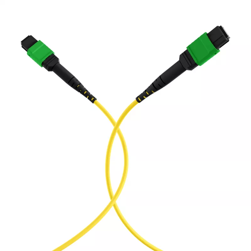 EFB Elektronik MPOF12MPOFOS2-2 cable de parcheo MPO-PLUS APC hembra a MPO-PLUS APC hembra OS2 monomodo 12 fibras tipo B LSZH amarillo, 2m