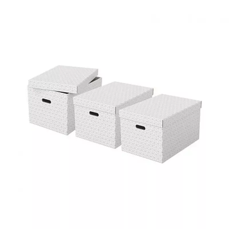 Esselte Home Caja de almacenaje L, juego de 3, blanco, 628286