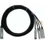 BlueLAN Cable breakout direct attach pasivo 2 m 40G QSFP a 4x 10G SFP+, compatible con Centec (CAB-Q-S-2M-CT-BL)