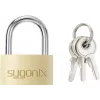Sygonix SY-5045288 Candado de latón de 29,8 mm ¿igualado? No, diferente llave dorado-amarillo