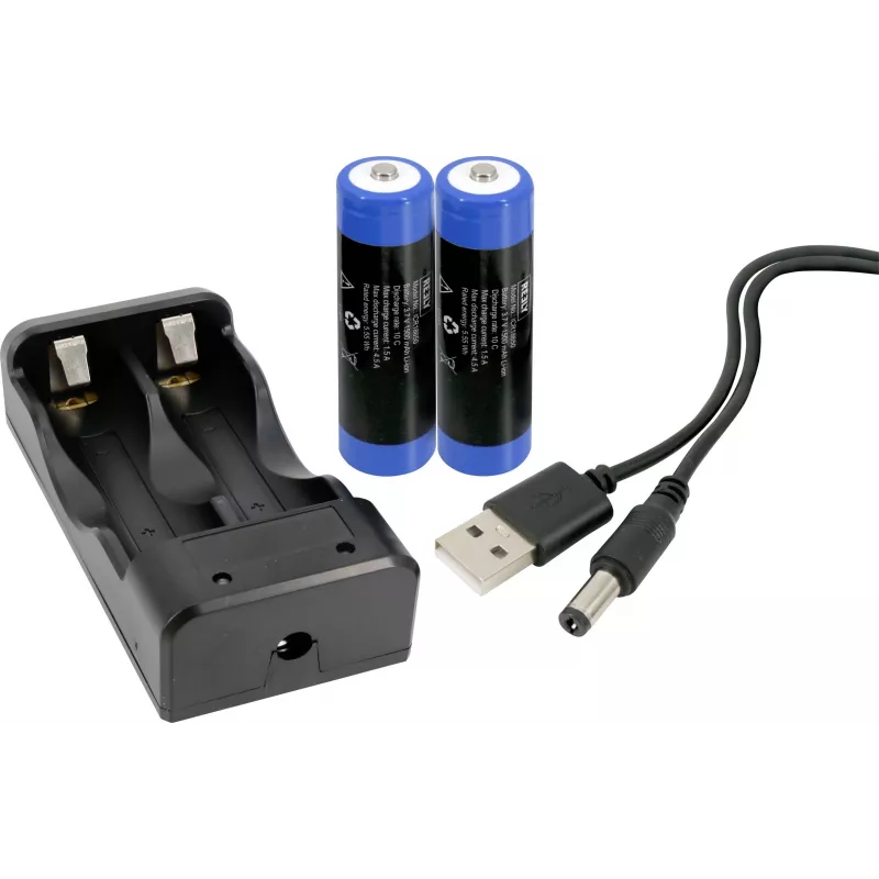Reely RAW Blue Brushed 1:14 RC Monster Truck 4WD RTR 2,4 GHz con batería y cargador RE-7171113
