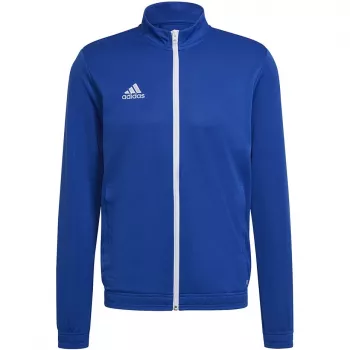 adidas Entrada 22 chaqueta de entrenamiento Team Royal Blue/White 2XL HG6287