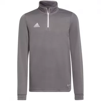 Camiseta de entrenamiento adidas Entrada 22 niños sudadera gris 152 cm H57549