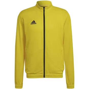 adidas Entrada 22 chaqueta de entrenamiento amarillo/negro hombre M HI2134