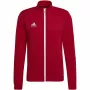 adidas Entrada 22 chaqueta de entrenamiento roja M H57537