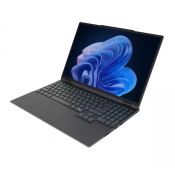 Captiva Entry Gaming R10-1010GE 15,3