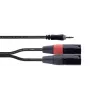Cordial EY 1 WMM cable adaptador en Y XLR, 3,5mm TRS a 2x XLR macho, 1m, OFC, apantallamiento en espiral, negro 14870