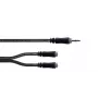 Cordial 14883 cable adaptador en Y estéreo de 3,5 mm, 1x conector macho jack a 2x conector hembra jack, 0,3 m, negro